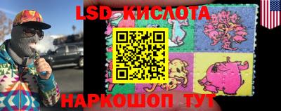 стаф Дубна