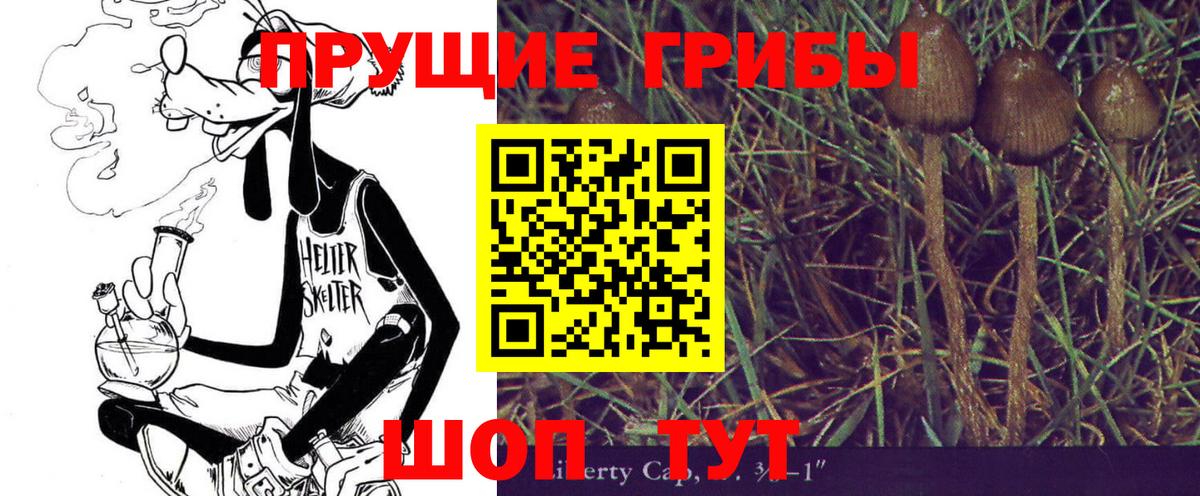Галлюциногенные грибы Cubensis Мончегорск