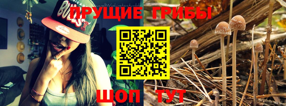 Мончегорск  Галлюциногенные грибы мицелий  Вход с VPN  Галлюциногенные грибы мухоморы 